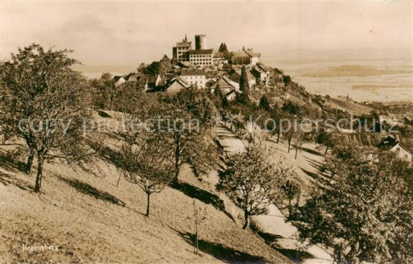 Regensberg Dielsdorf ZH Burg