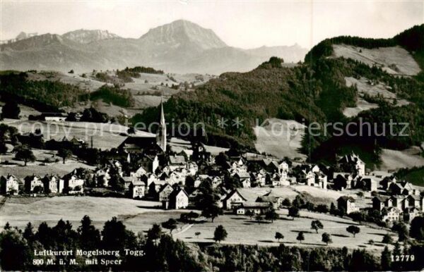 Mogelsberg SG Panorama mit Speer