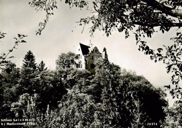 Mannenbach-Salenstein TG Schloss Salenstein