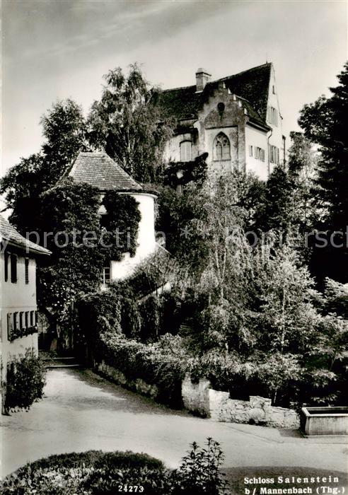 Mannenbach-Salenstein TG Schloss Salenstein