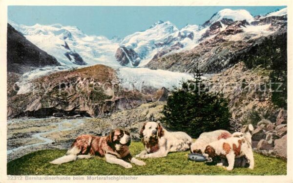 Morteratschgletscher Bernhardinerhunde Gletscherpanorama