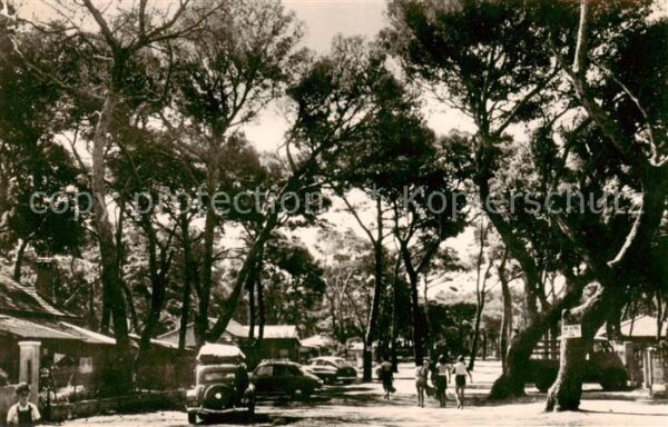 Hyeres-les-Palmiers 83 Var La Capte