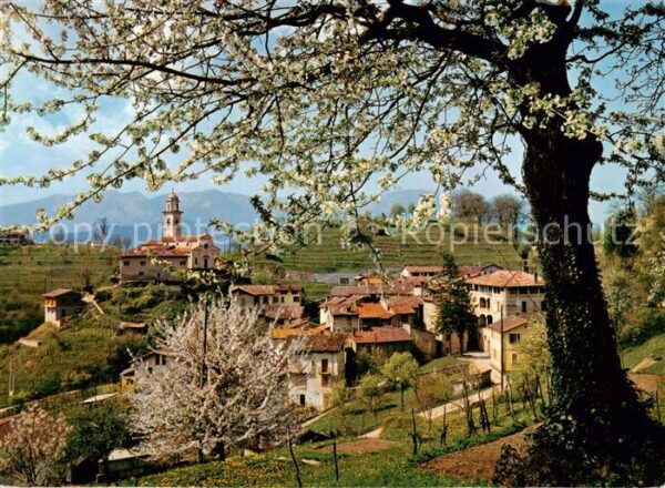 Carabbia TI Panorama