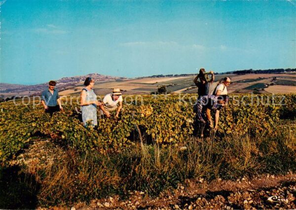 Sancerre 18 Cher Vue de Bellechaume