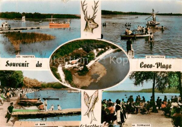 Coco-Plage Sille-le-Guillaume 72 Sarthe Les Vedettes Le Plonceoir Le Bain La Te