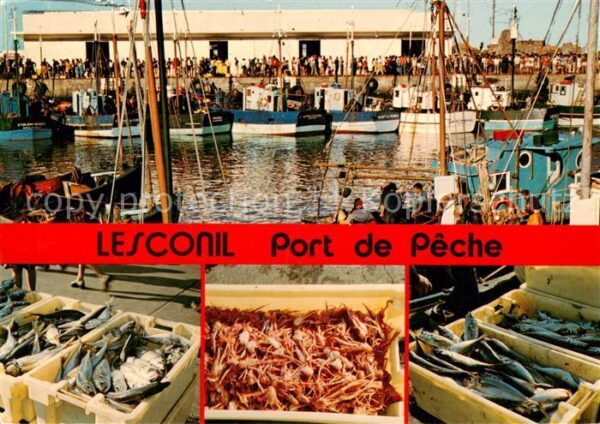 Lesconil Plobannalec 29 Finistere Activite au port de peche