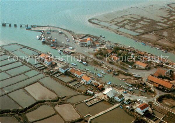 Marennes 17 Charente-Maritime Le Port de la Cayenne Vue aerienne