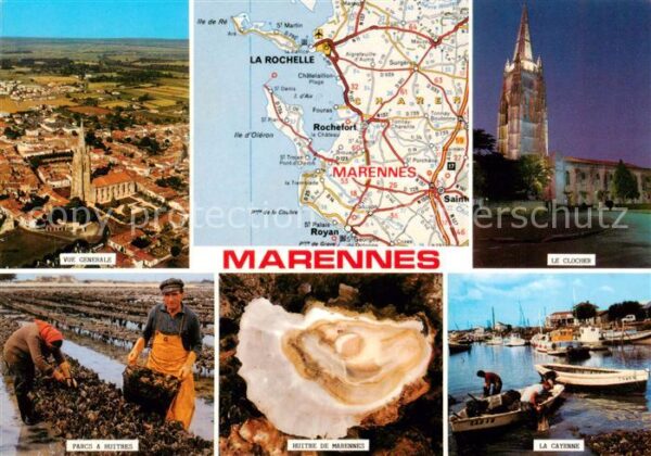 Marennes 17 Charente-Maritime Vue generale aerienne Le Clocher Parcs