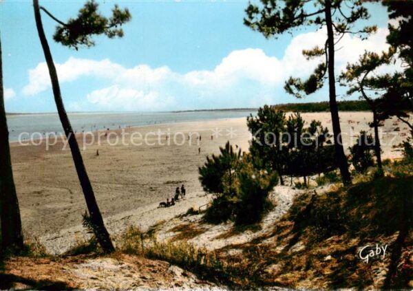 Ile d Oleron 17 Charente-Maritime Plage de Gatseau
