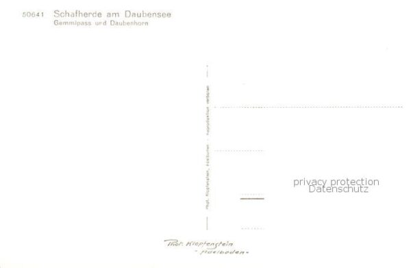 Daubensee Gemmipass VS Schafherde Daubenhorn – Bild 2