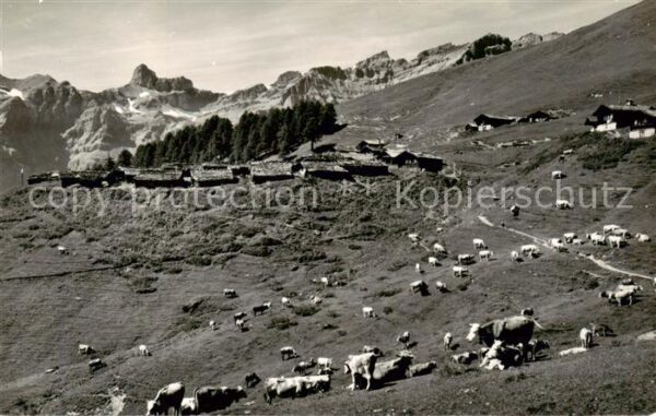 Torrentalp 2470m Albinen VS und Leukerbad mit Trubelnstock