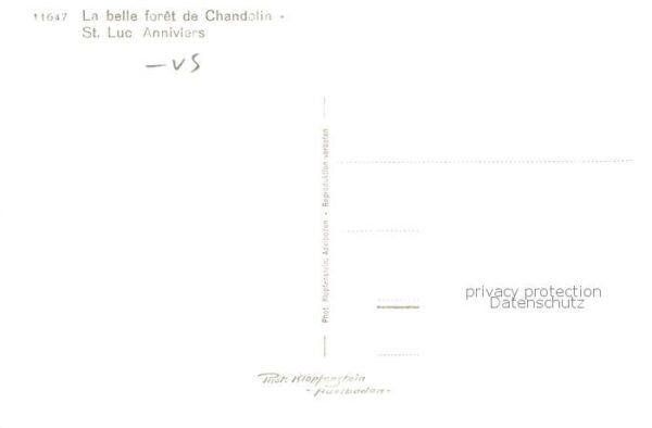 St Luc VS Anniviers La belle foret de Chandolin – Bild 2