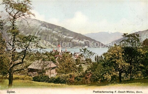 Spiez Thunersee BE Panorama