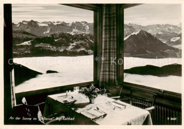 Rigi Kaltbad Berghotel Restaurant Bellevue Fernsicht