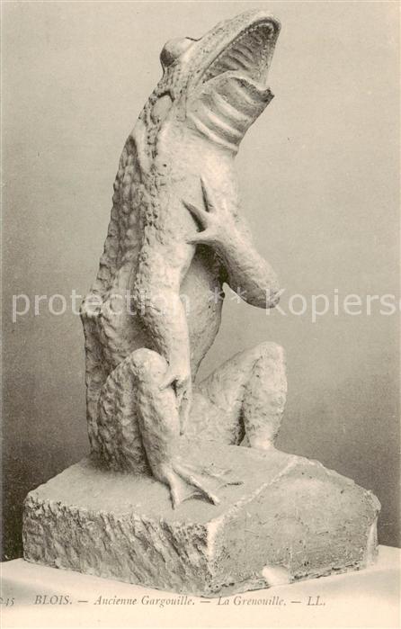 Blois 41 Ancienne Gargouille La Grenouille