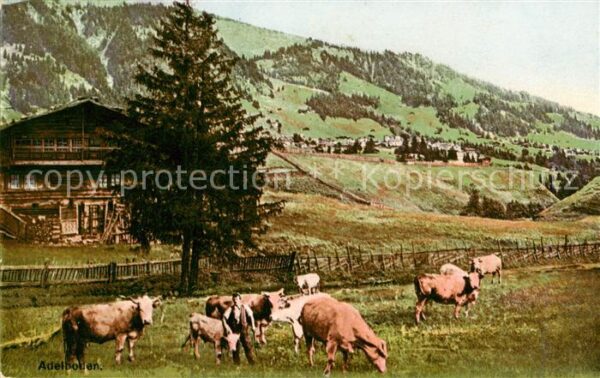 Adelboden BE Bergbauer Viehweide Kühe Landschaftspan
