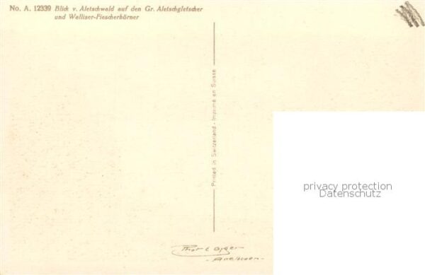 Aletschgletscher VS Panorama Blick vom Aletschwald Walliser – Bild 2