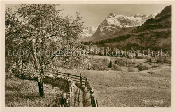 Seelisberg UR Landschaftspanorama Baumblüte Alpen