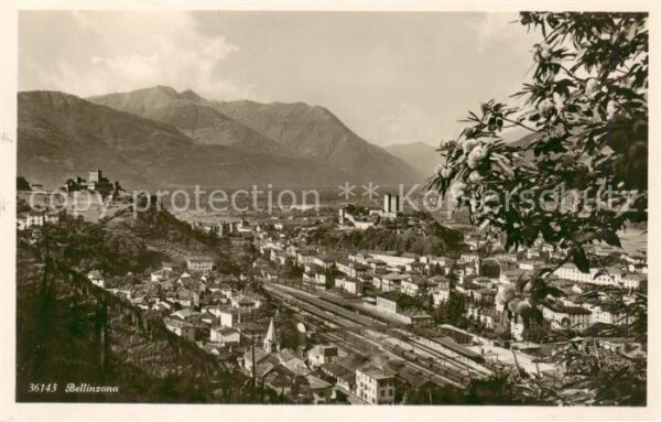 Bellinzona TI Panorama