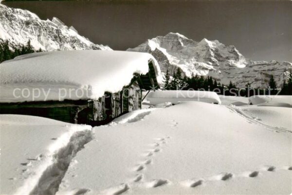 Wengen  BE Das Gizidörfli im Winter mit Jungfrau