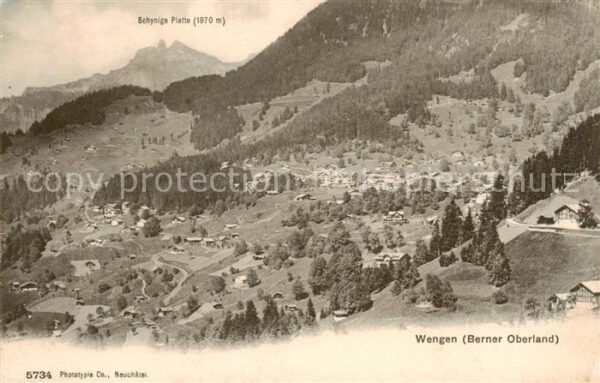 Wengen  BE Panorama mit Schynige Platte