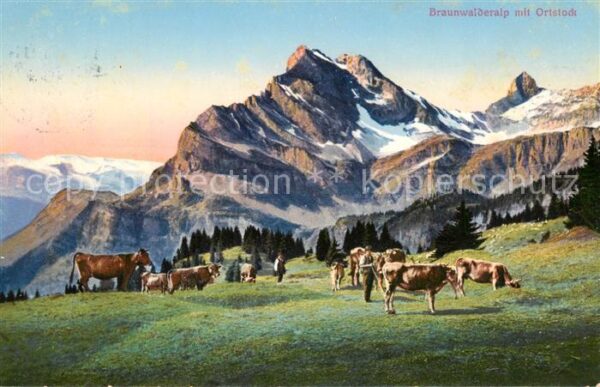 Braunwald GL Braunwalderalp mit Ortstock