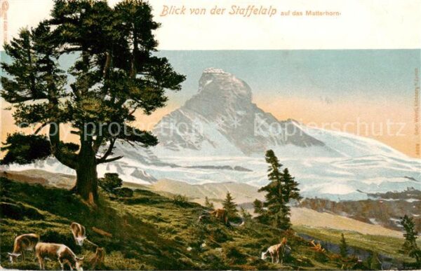 Matterhorn Mont Cervin 4478m VS Blick von der Staffelalp