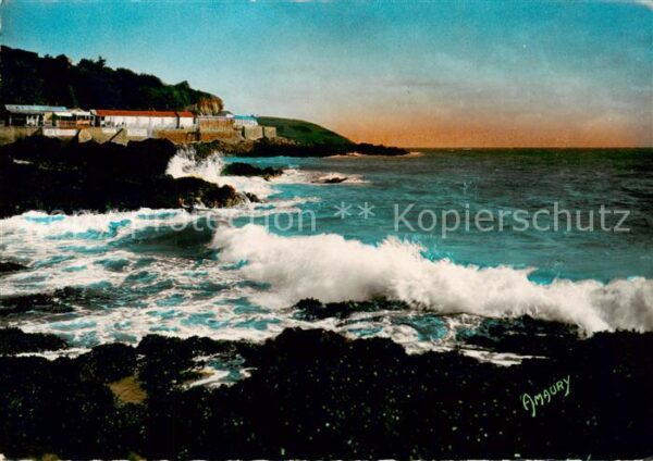 Saint-Brieuc 22 Cotes-d Armor Legue l’Anse aux Moines Maree montante