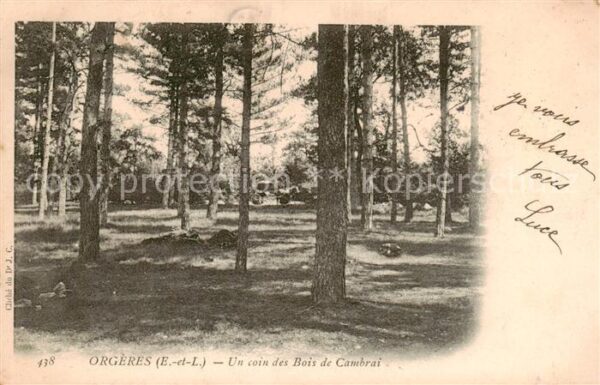 Orgeres-en-Beauce 35 Eure-et-Loir Un coin des Bois de Cambrai