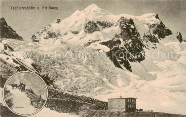 Tschiervahuette 2580m Piz Roseg GR Panorama Gemsen