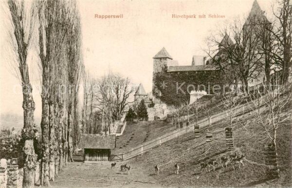 Rapperswil -Jona Rapperswyl Zuerichsee S Hirschpark mit Schloss