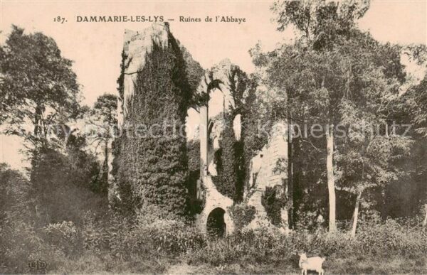 Dammarie-les-Lys Ruines de l'Abbaye