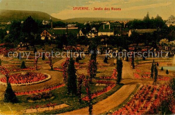 Saverne Bas Rhin Alsace Jardin des Roses