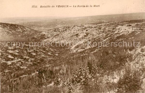 Verdun  55 Meuse Bataille de Verdun Ravin de la Mort Kri