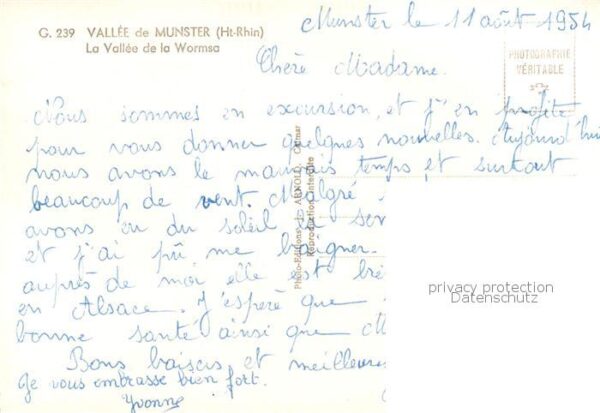 Vallee de Munster La Vallee de la Wormsa Troupeau de chev – Bild 2