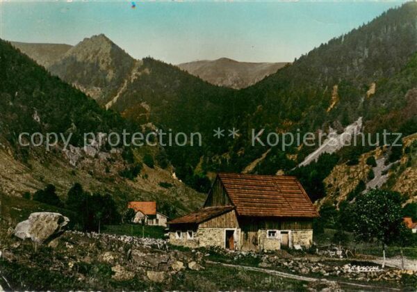 Munster  Muenster 68 Alsace Vallee de la Wormsa au loin le Massif d
