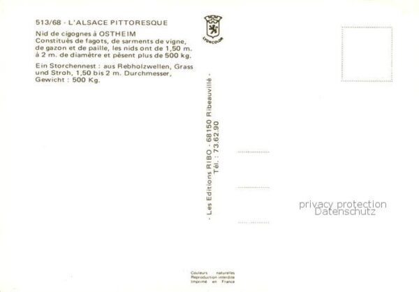 Ostheim 68 Elsass Nid de cigognes Storchennest – Bild 2