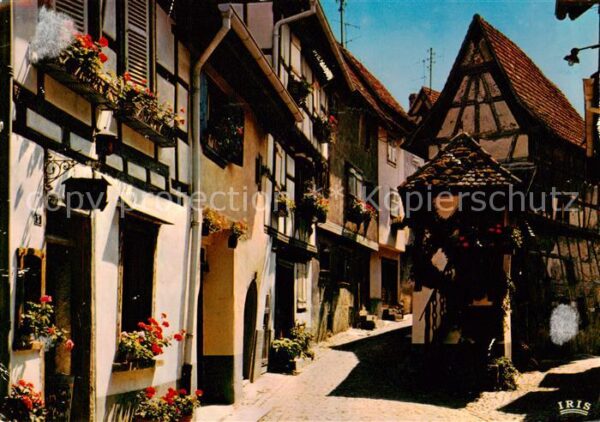 Eguisheim Egisheim 68 Haut Rhin Maisons des XVIe et XVIIe siècles Histo