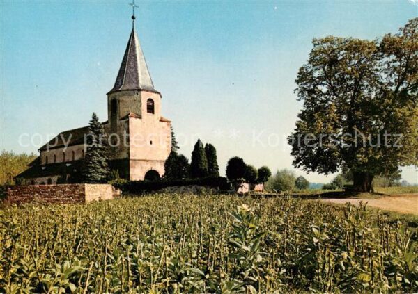 Avolsheim Dompeter IXe siècle la plus ancienne Eg