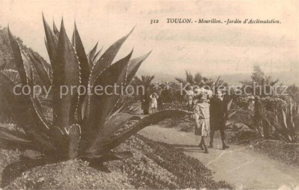 Toulon -sur-Mer 83 Var Mourillon Jardin d_Acclimatation