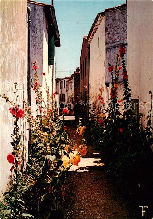 Ars-en-Re Les maisons blanches et les passeroses