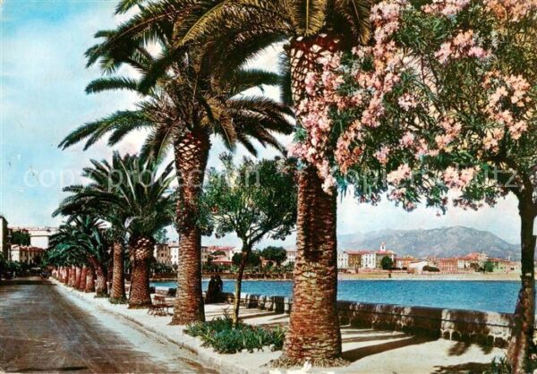 Ajaccio Corse 2A Le Boulevard Lantiv