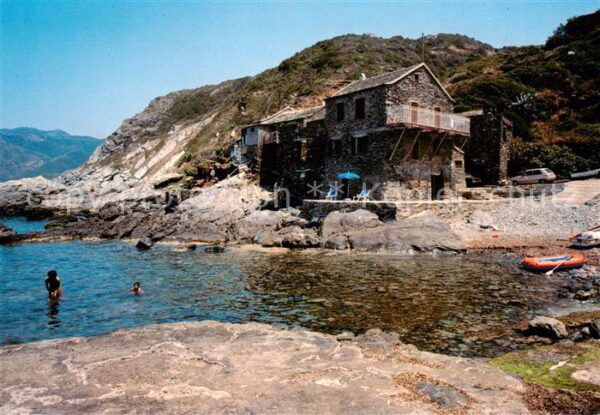 Pino Corse La Marine