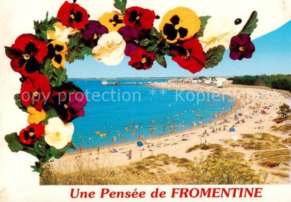 Fromentine 85 Vendee La Plage