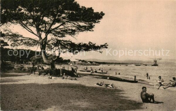 Hyeres-les-Palmiers 83 Var La Plage