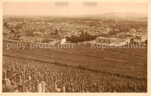 Reims 51 Vignoble d’Ay premier cru de relains no