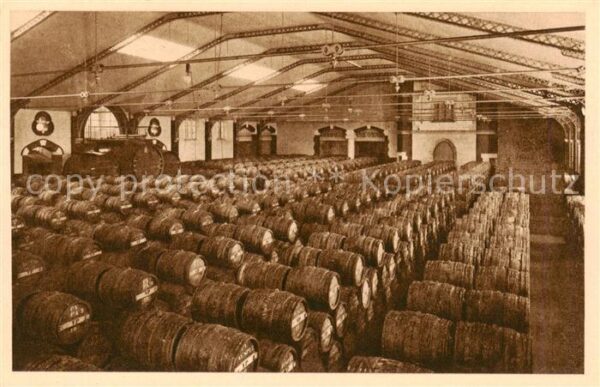 Reims 51 Un cellier rempli de vins nouveaux