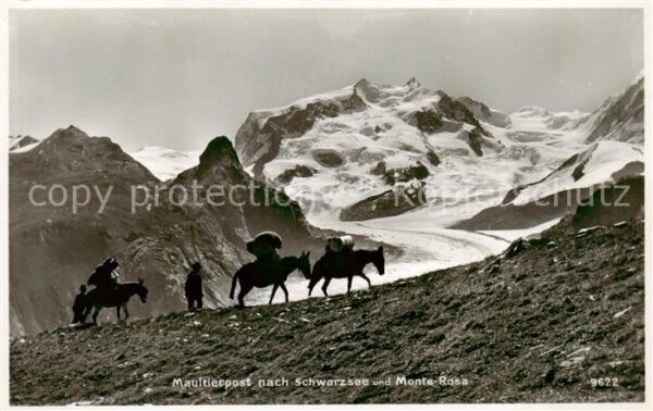 Zermatt VS Maultierpost nach Schwarzsee und Monte