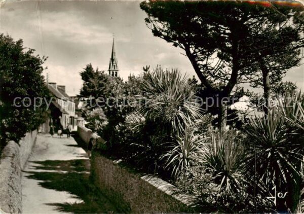 Ile-de-Batz 29 Finistere Les jardins longeant la rue principale