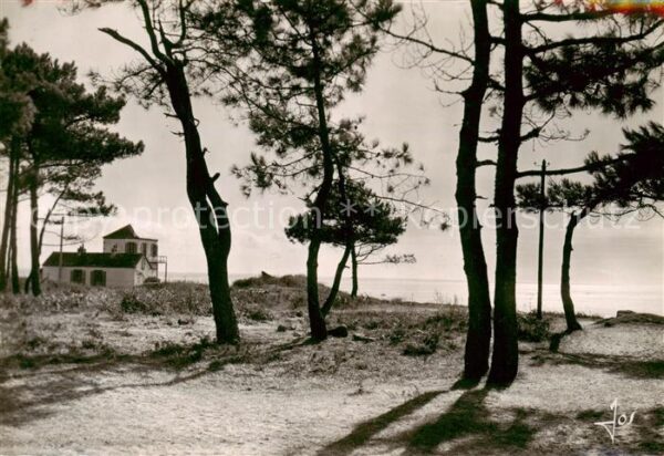 Beg-Meil 29 Finistere Les pins sur les dunes